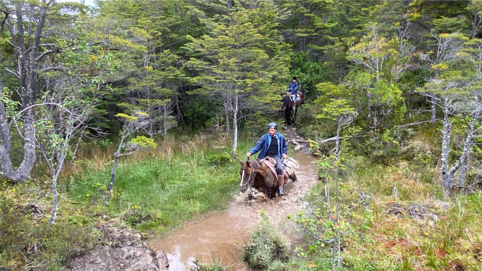 Cabalgata Laggo Brsuh a Glaciar Serrano