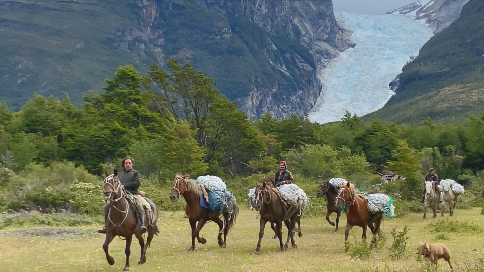 Cabalgata Glaciar Serrano a Torres del Paine