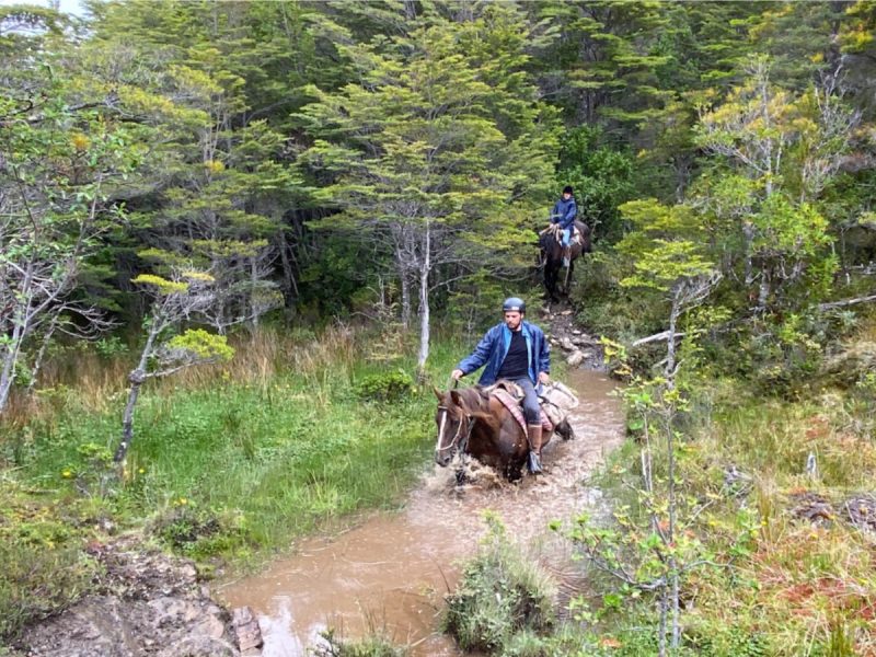 Cabalgata Laggo Brsuh a Glaciar Serrano