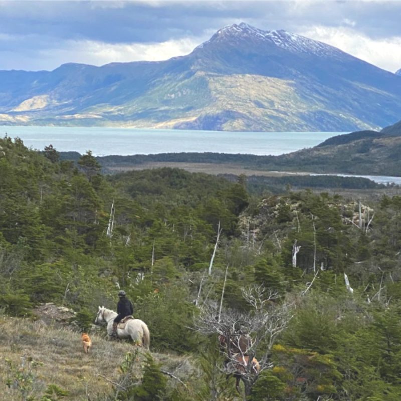 Horseback riding Serrano Glacier to Torres del Paine